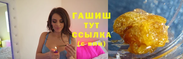 прущие грибы Верея