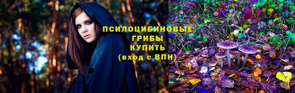 бошки Володарск