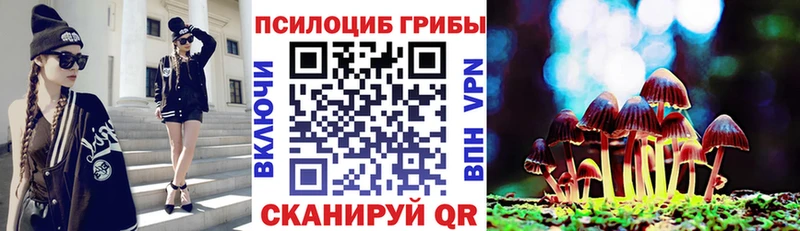 Псилоцибиновые грибы ЛСД  купить наркотики сайты  Тула 